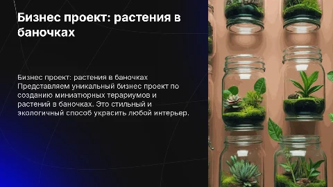 Бизнес проект о растениях в баночке и терариумов