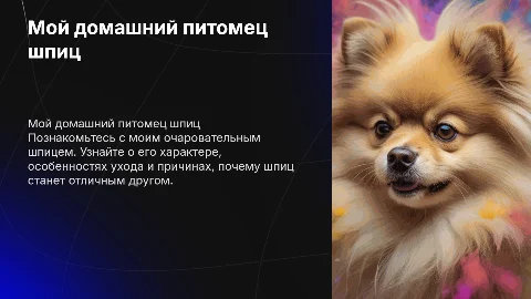 Мой домашний питомец шпиц