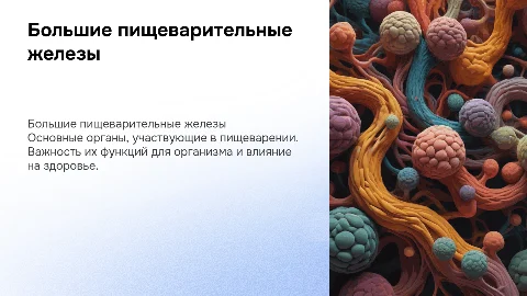 Большие пищеварительные железы