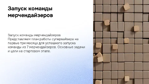 План запуска команды мерчендайзеров на 3 месяца