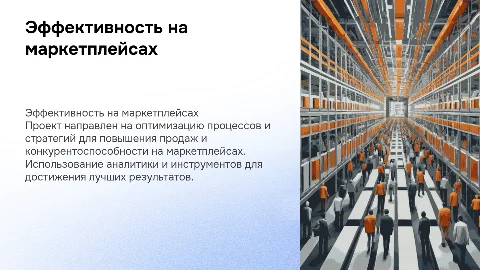 Проект повышения эффективности реализации продукта на маркетплейсах