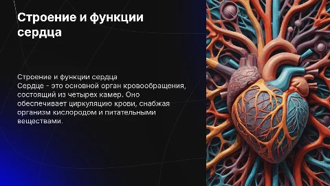 строение и функции сердца