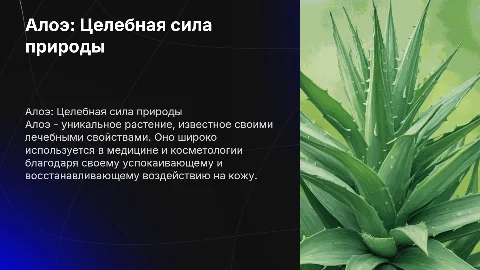 Буклет на тему Алоэ