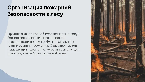 Организация пожарной безопасности в лесу и первая помощь