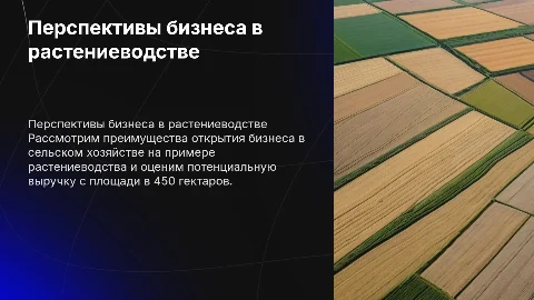Почему открыть бизнес в сельском хозяйстве: выручка с 450 га
