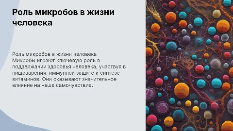 Роль микробов в жизни человека