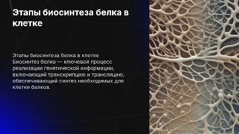 Этапы реализации генетической информации и биосинтез белка