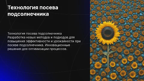 Разработка технологии поседа подсолнечника