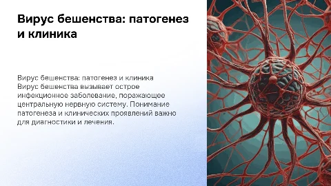 вирус бешенства: патогенез и клиника