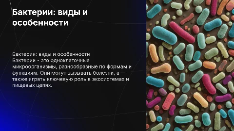 Бактерии: виды, особенности и их значение для жизни