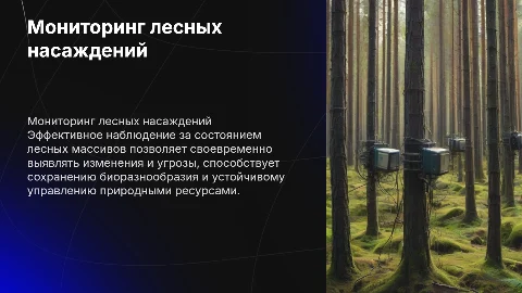 мониторинг лесных насаждений