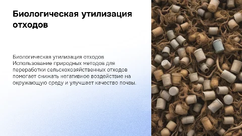 Биологические способы утилизации сельскохозяйственных отходов