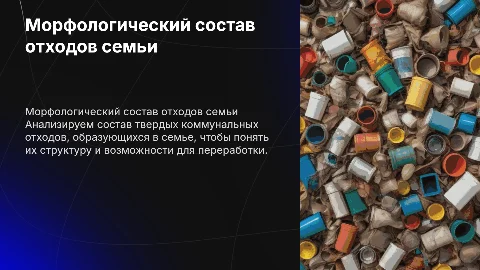 Морфологический состав твердых коммунальных отходов семьи