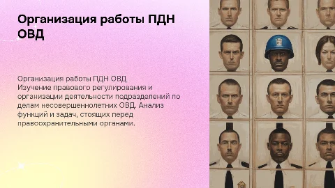 Презентация по организации деятельности ПДН ОВД