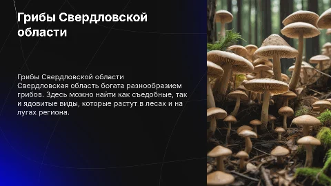 грибы свердловской области