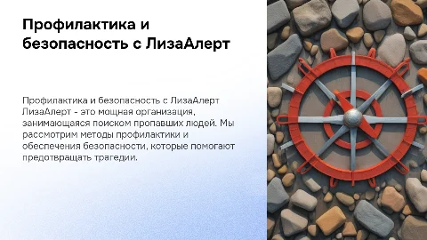 Профилактика, безопасность, ЛизаАлерт
