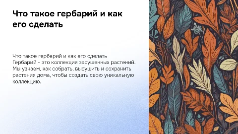 Гербарий: как его сделать простыми словами для детей