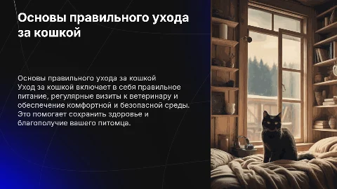 Как ухаживать за кошкой правильно