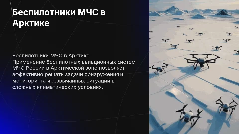Беспилотные авиационные системы МЧС в Арктической зоне