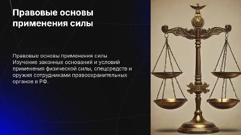 Правовые основы применения физической силы и оружия в РФ