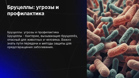 Бруцеллы