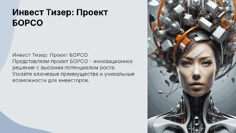 Инвест тизер по проекту БОРСО