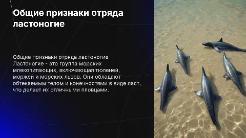 Общие признаки отряда ластоногие