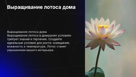 Тема: Выращивание лотоса в домашних условиях