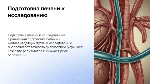 Подготовка печени и желчевыводящих путей к исследованию