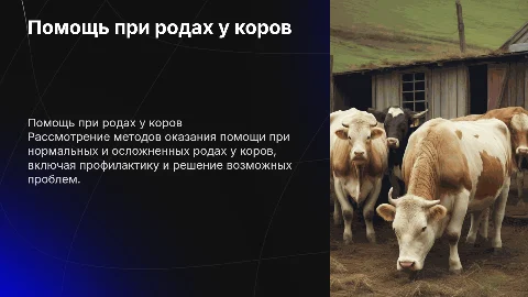 Помощь при нормальных и патологических родах у коров
