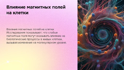 Влияние слабых магнитных полей на живые клетки