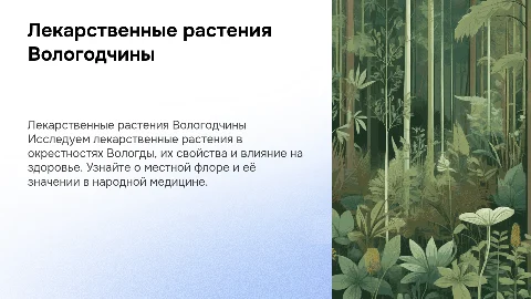 Лекарственные растения в окрестностях Вологды