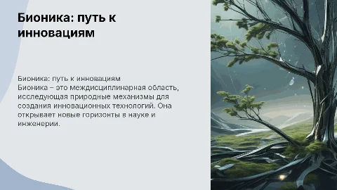 Проект по биологии 10 класс: Бионика и её значение