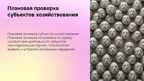 проведение плановой проверки хозяйствующих субъектов