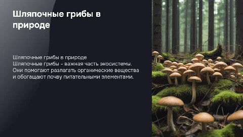 шляпочные грибы 7 класс