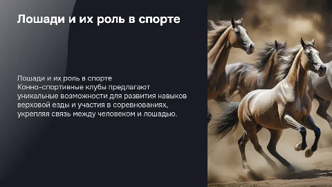 Лошади и конно спортивный клуб