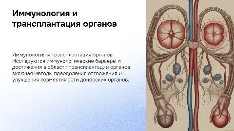 Трансплантация органов: иммунологические аспекты и достижения