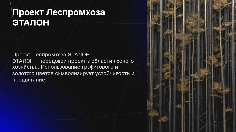 Проект леспромхоза в темном графитовом и золотом цвете. Название ЭТАЛОН