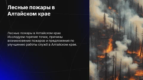 Лесные пожары в Алтайском крае: причины и решения