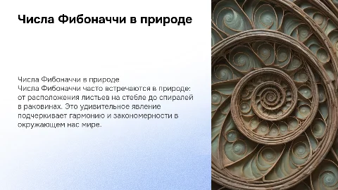 числа фибоначчи в природе