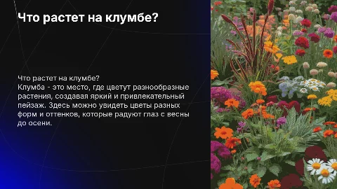 что растет на клумбе