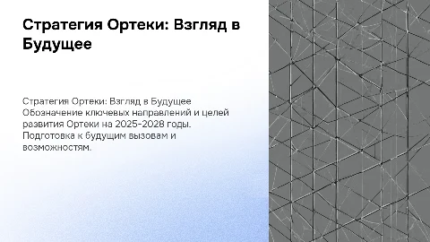 СТРАТЕГИЯ ОРТЕКИ 2025_2026_2028