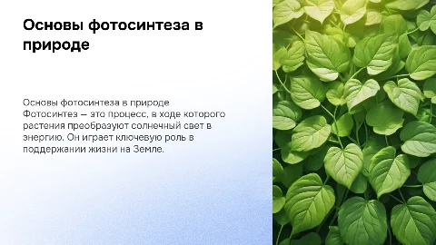 фотосинтез
