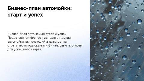 бизнес план на тему автомойка