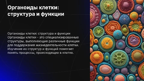 органоиды клетки