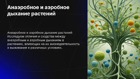 анаэробное и аэробное дыхание растений