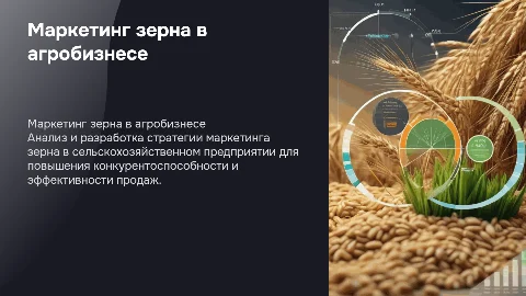 Разработка комплекса маркетинга зерна в агробизнесе