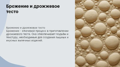 брожение. приготовление дрожжевого теста