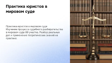 Практика юристов в мировом суде 89 участка