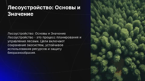 Лесоустройство: цели, задачи и история в России